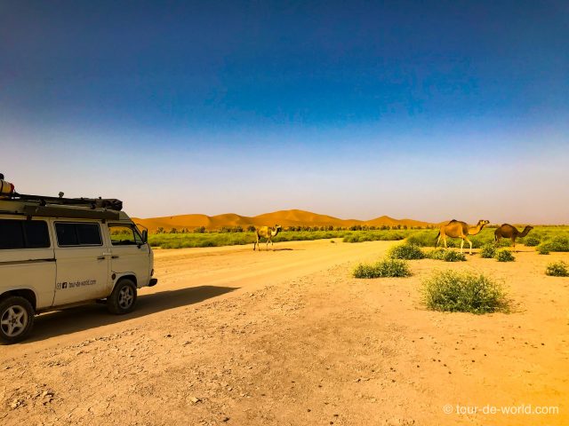 Sandwüste-VW_Bus-Marokko